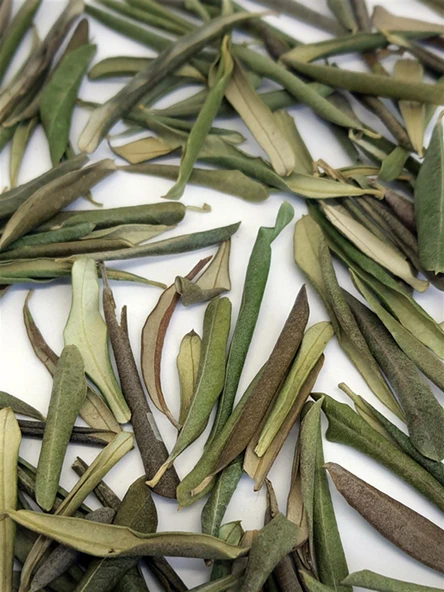 Zeytin Yaprağı Çayı 300 gr ( Doğal Kurutulmuş, Elenmiş, Katkısız ) ürün görseli 1