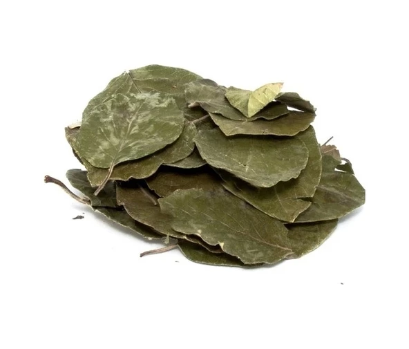 Avakado Yaprağı 25 gr, Derya Eren ürün görseli 1