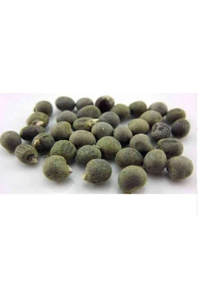 Bamya Tohumu 500 gr, Lokman Aktar - Resim 3