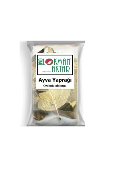 Ayva Yaprağı 250 gr, Lokman Aktar ürün görseli 1