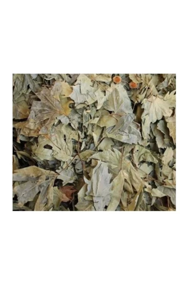 Çınar Yaprağı 50 gr, Lokman Aktar - Resim 3