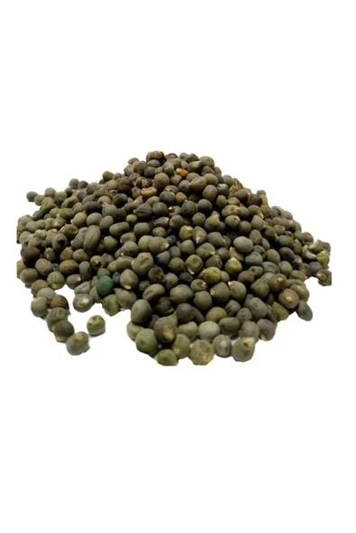 Bamya Tohumu 500 gr, Lokman Aktar - Resim 4
