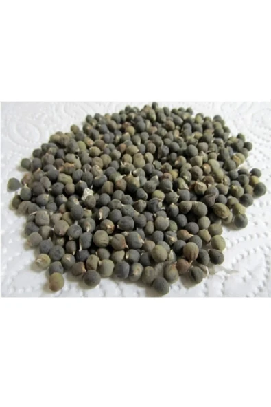 Bamya Tohumu 500 gr, Lokman Aktar - Resim 2