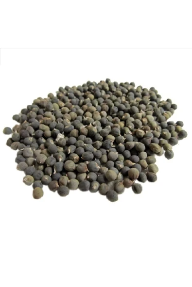 Bamya Tohumu 100 gr, Lokman Aktar - Resim 5