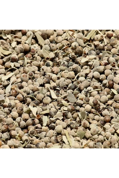 Hayıt Tohumu 100 gr, Lokman Aktar - Resim 3