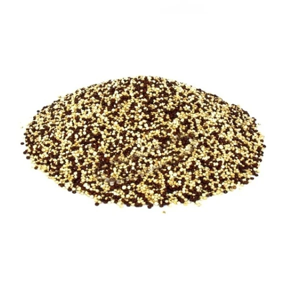 Kinoa Tohumu 50 gr, Lokman Aktar - Resim 2
