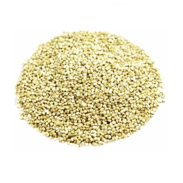 Kinoa Tohumu 50 gr, Lokman Aktar - Resim 3