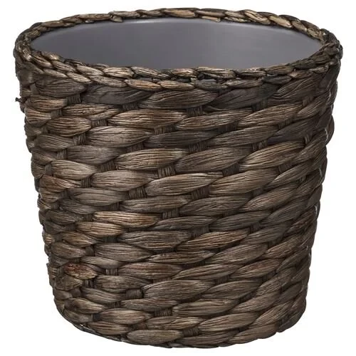 IKEA DRUVFLADER RATTAN HASIR SAKSI SU SÜMBÜLÜ 12 CM ürün görseli 1