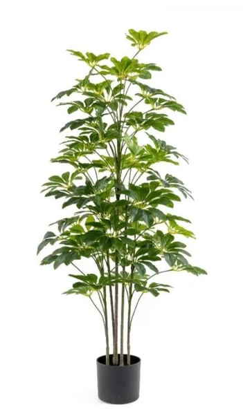 Çinpa Sheflera Real Touch 125 Cm 0103627 ürün görseli 1