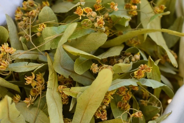 Ihlamur 200 gr  ( Doğal Kurutulmuş, Elenmiş, Yeni Mahsül ) ürün görseli 1