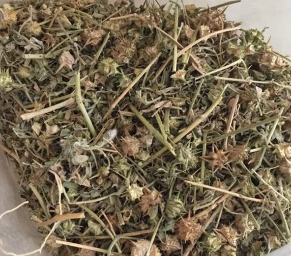 Çoban Çökerten 200 gr Yeni Mahsül,  Demir Dikeni Otu ürün görseli 1