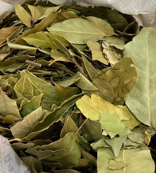 Avokado Yaprağı Otu Çayı 300 gr  ( Doğal Kurutulmuş, Katkısız ) Avakado Yaprağı ürün görseli 1