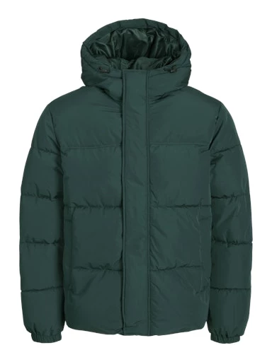 Jack Jones Erkek Essentials Jjebradley Comfort Fit Kapüşonlu Yeşil  Mont  12256974Y ürün görseli 1