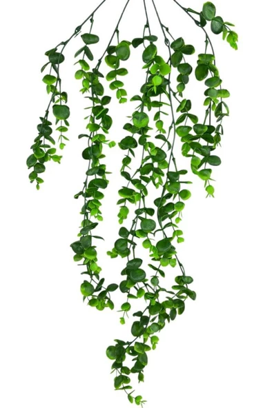 Nettenevime Yapay Çiçek 5dal Sarkan Okaliptus Şimşir Yapay Sarmaşık 70cm ürün görseli 1