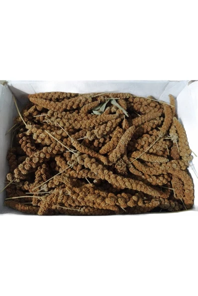 Doğal Kızıl Dal Darı Kuş Yemi 1kg (min:10cm-max:20cm Uzunluk) ürün görseli 1