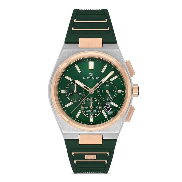 Momentus Men's Time Masters TM345T-15YR Erkek Kol Saati ürün görseli 1