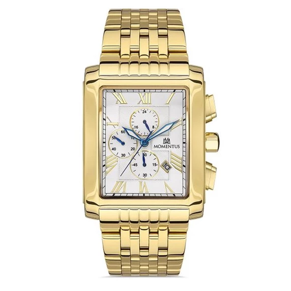 Momentus TimeMaster Collection TM111G-02SG Erkek Kol Saati ürün görseli 1