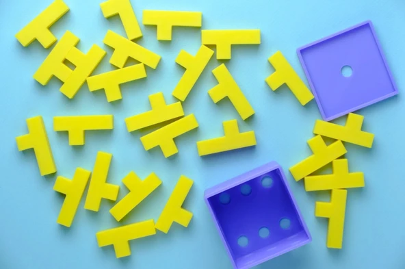 Yetişkin İçin IQ Puzzle - Ne Dersin? ürün görseli 1