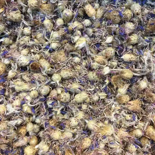 PEYGAMBER ÇİÇEĞİ 200 GR TAZE KATKISIZ MAHSÜL ürün görseli 1