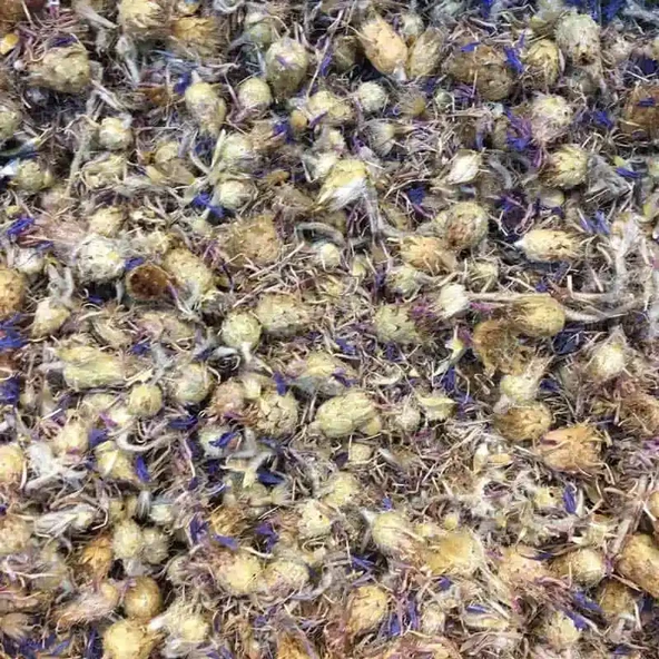 PEYGAMBER ÇİÇEĞİ 1 KG TAZE KATKISIZ MAHSÜL ürün görseli 1