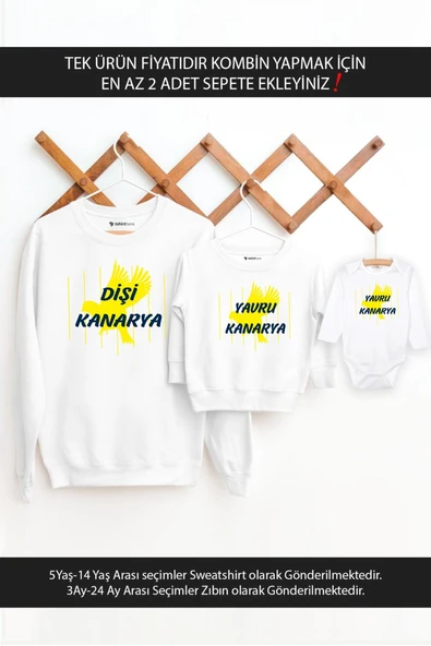 Dişi Yavru Kanarya Anne Oğul Kız(TEK ÜRÜN FİYATIDIR KOMBİN YAPMAK İÇİN EN AZ 2 ADET SEPETE EKLEYİNİZ ürün görseli 1