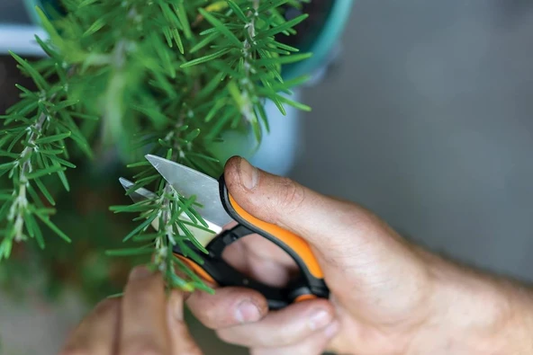 Fiskars 1063326 SP220 Bitki Makası - Resim 3