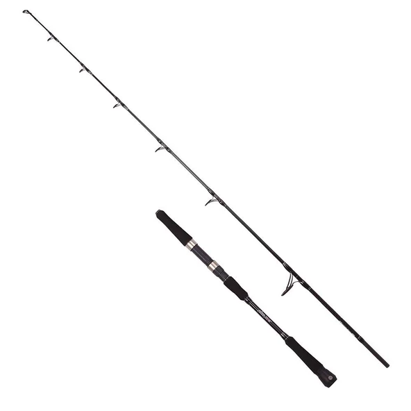 Albastar Novus 180 cm 100-200g Aksiyonlu Tetiksiz Tekne Olta Kamışı ürün görseli 1