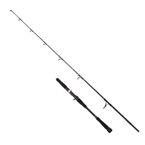 Albastar Novus 165 cm 100-200g Aksiyonlu Tetikli Jig Olta Kamışı ürün görseli 1