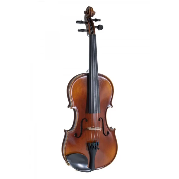 Gewa Allegro VL1 4/4 Keman - Resim 2