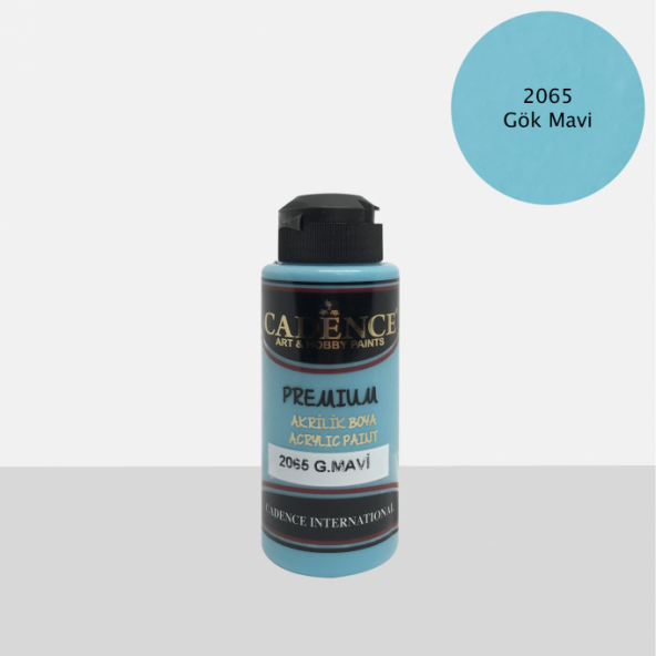 Premium 120ML(cc) 2065 Gök Mavi ürün görseli 1