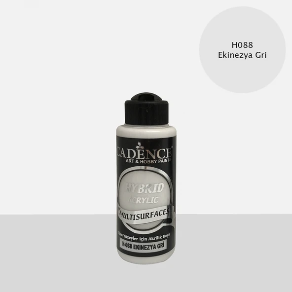 H-088 EKİNEZYA GRİ 120 ML MULTISURFACE HYBRID AKR. ürün görseli 1