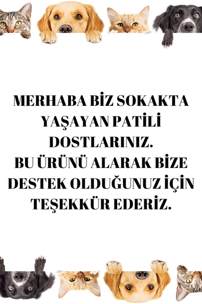 Paslanmaz Çelik Mama Ve Su Kabı - Resim 6