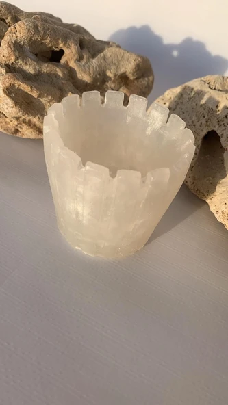 Parlak Sedefli Beyaz Renkli Tırtıklı Sukulent Epoksi Saksı El Yapımı Hediyelik ürün görseli 1