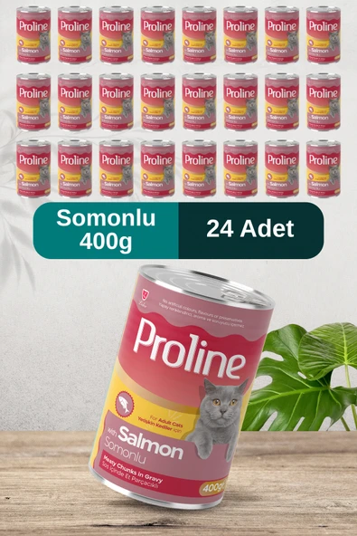 Pro Line Somonlu Sos İçinde Et Parçacıklı Kedi Konservesi 400g x 24 Adet ürün görseli 1