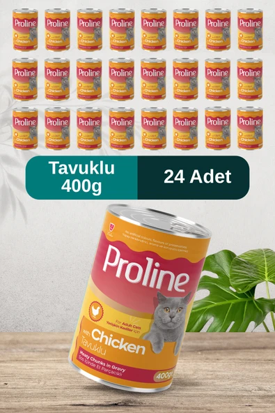 Pro Line Tavuklu Sos İçinde Et Parçacıklı Kedi Konservesi 400g x 24 Adet ürün görseli 1