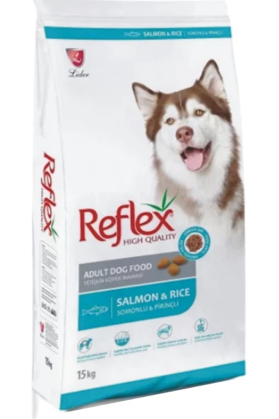 Somonlu Pirinçli Balıklı Adult Yetişkin Köpek Maması 15 Kg ürün görseli 1