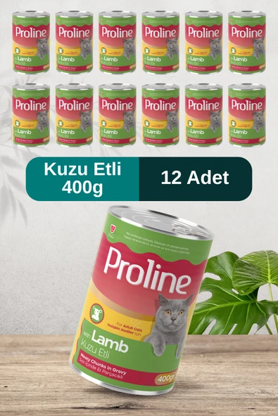 Pro Line Kuzu Etli Sos İçinde Et Parçacıklı Yetişkin Kedi Konservesi 400g x 12 Adet ürün görseli 1