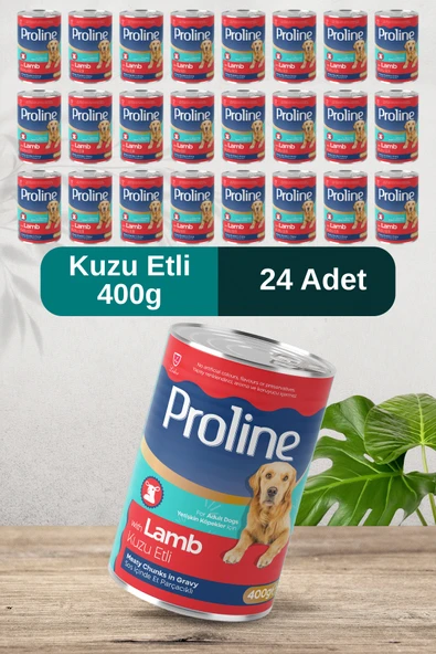Pro Line Kuzu Etli Sos İçinde Et Parçacıklı Köpek Konservesi 400g x 24 Adet ürün görseli 1