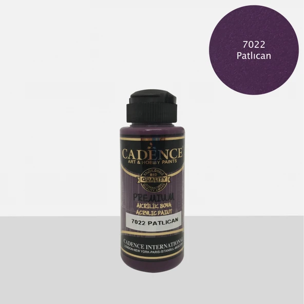 Premium 120ML(cc) 7022 Patlıcan ürün görseli 1