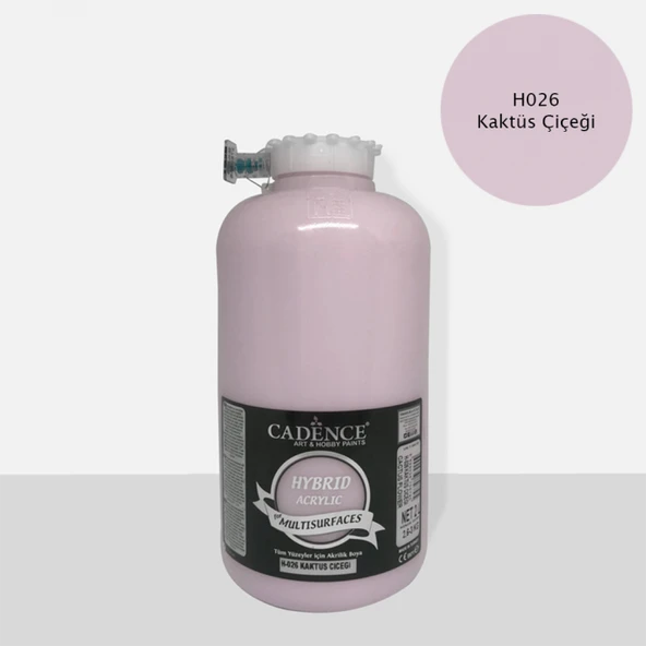 H-026 KAKTÜS ÇİÇEĞİ 2 LİTRE MULTISURFACE HYBRID AKR. ürün görseli 1