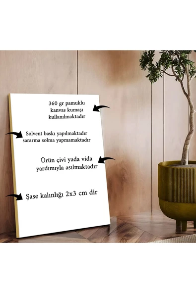 Harikabirev HARİKABİREV|SİYAH-BEYAZ RENK SOYUT DETAYLI KOMBİNİ|3LÜ KANVAS DKYKNVS ürün görseli 1