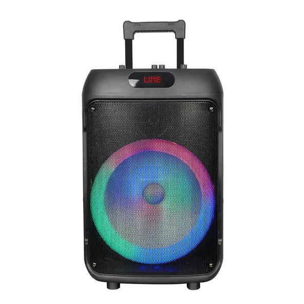 Zore GD-1203 Dijital LED Göstergeli FM Radyolu Mikrofonlu RGB TWS 12 inç Stereo Bass Kablosuz Karaoke Hoparlör ürün görseli 1