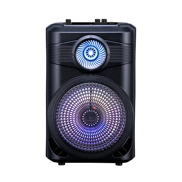 Zore GD-904 Dijital LED Göstergeli FM Radyolu Mikrofonlu RGB TWS 8 inç Stereo Bass Kablosuz Karaoke Hoparlör ürün görseli 1