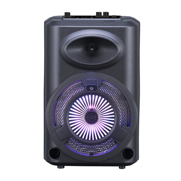 Zore GD-903 Dijital LED Göstergeli FM Radyolu Mikrofonlu RGB TWS 8 inç Stereo Bass Kablosuz Karaoke Hoparlör ürün görseli 1