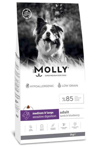 Molly Kuzulu Yabanmersinli Orta ve Büyük Irk Yetişkin Köpek Maması 2 kg ürün görseli 1