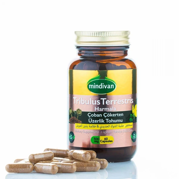 Mindivan Çoban Çökerten (Tribulus) ve Üzerlik Tohumu Ekstresi - 500 Mg 60 Kapsül ürün görseli 1