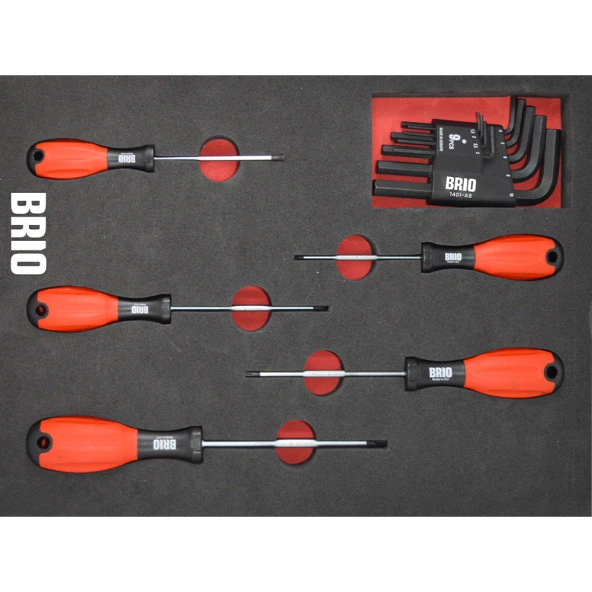 Brio Tornavida Torx Seti Ve Allen Seti 14 Parça Sünger Yataklı (Tork Alyan Seti) ürün görseli 1
