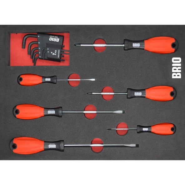 Brio Tornavida Düz-Yıldız Seti Ve Allen Torx Seti 13 Parça Sünger Yataklı (Tork Alyan Seti) ürün görseli 1