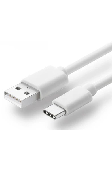 Zilevo Usb Type C Usb 3.1 Hızlı Şarj Data Kablo Usb C Kablo 2 Amper ürün görseli 1
