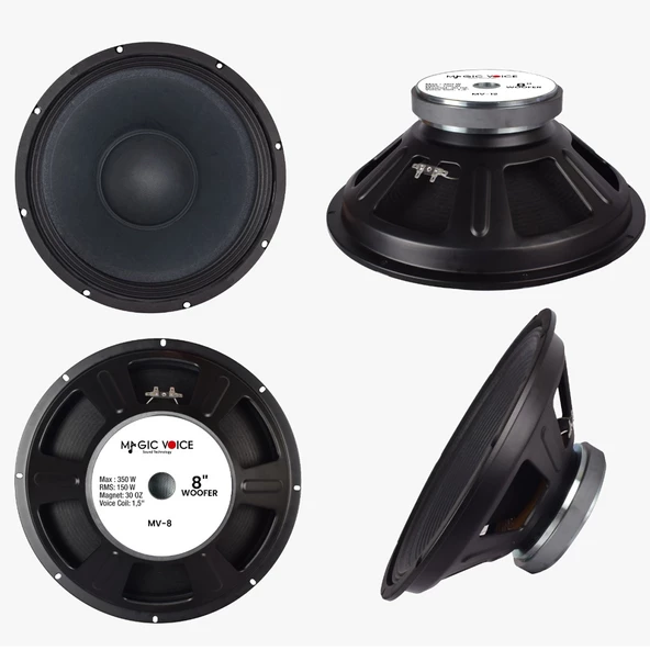 PTTAVM: Leone 1608 16 Cm 8 Ohm Tweetersız Tekli Hoparlör Bass Hoparlör